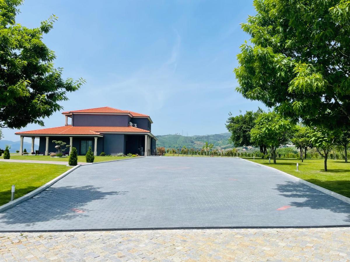 Spacious Villa Pool & Douro View By Host Wise Santa Marinha do Zêzere Exterior photo